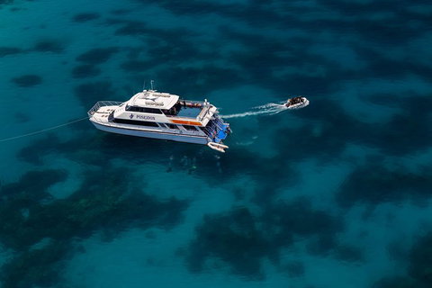 Quicksilver Dive 4 Day PADI Learn To Dive Course - South Australia Travel 1