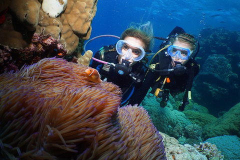 Quicksilver Dive 4 Day PADI Learn To Dive Course - South Australia Travel 4