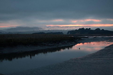 Launceston Private Charter Service - South Australia Travel 1