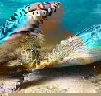 Sail Snorkel SUP  Kayak Charter Whitsundays - South Australia Travel