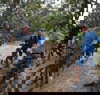 Fully guided E-Mountain Bike Tour on the beautiful Mornington Peninsula. - South Australia Travel