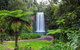 Cairns & Port Douglas All-Inclusive 7 Days Touring Package - thumb 2