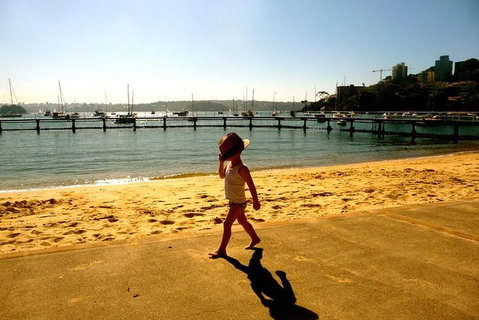 Morning Or Afternoon Highlights Tour In Sydney With A Local Guide - South Australia Travel 3