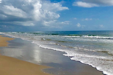 3 Nights 2 Full Days Private Guided Tour Of The Sunshine Coast And Hinterland - South Australia Travel 4