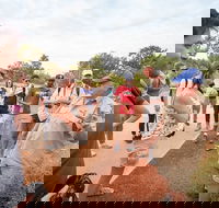 Uluru Kata Tjuta and Kings Canyon Camping Safari from Ayers Rock - South Australia Travel