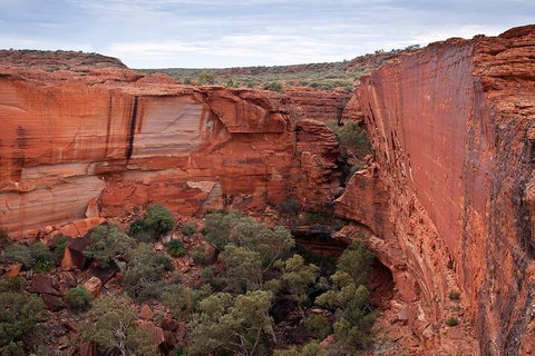 Uluru, Kata Tjuta And Kings Canyon Camping Safari From Ayers Rock - South Australia Travel 1