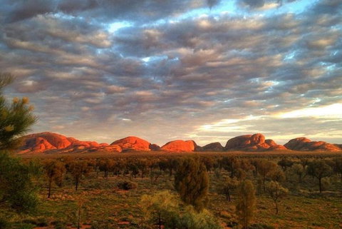 5-Hour Kata Tjuta Sunrise Tour From Ayers Rock With Breakfast - South Australia Travel 1