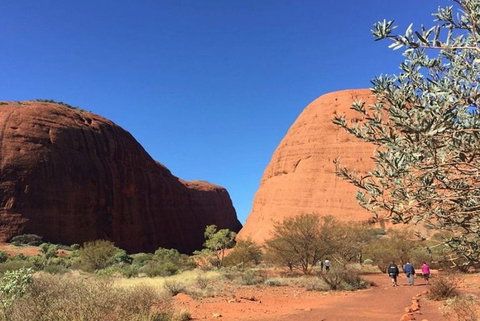 5-Hour Kata Tjuta Sunrise Tour From Ayers Rock With Breakfast - South Australia Travel 4