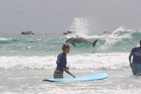 10-Day Surf Adventure From Sydney To Brisbane Including Coffs Harbour, Byron Bay And Gold Coast - South Australia Travel 0