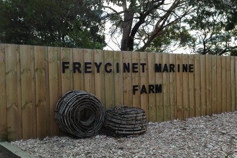 Active Day Tour One-Way From Launceston To Hobart Via Wineglass Bay - South Australia Travel 3