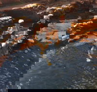 One Day Litchfield Park Adventures - South Australia Travel