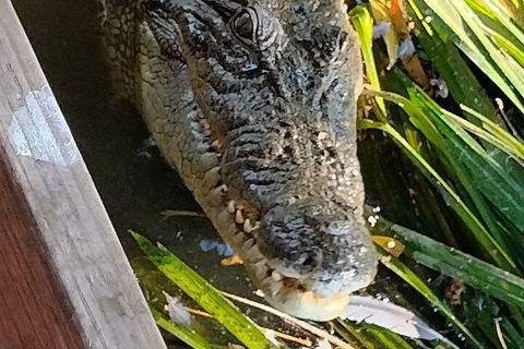 Litchfield Park Adventures And Jumping Crocodile Cruise + Butterfly Farm - South Australia Travel 1