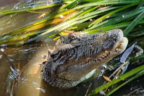 Litchfield Park Adventures And Jumping Crocodile Cruise + Butterfly Farm - South Australia Travel 4