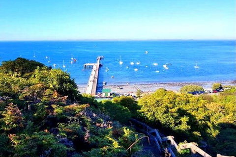 Mornington Peninsula Sightseeing Tour For 2-6 Guests. - South Australia Travel 1