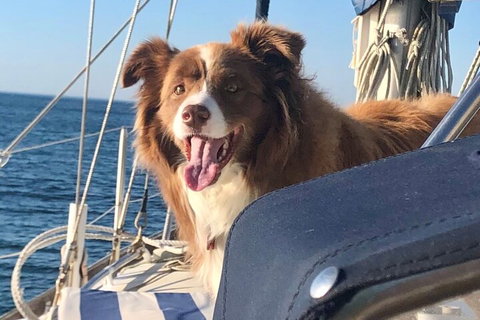 Mornington Peninsula Sightseeing Tour For 2-6 Guests. - South Australia Travel 2