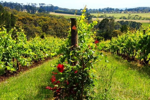 Mornington Peninsula Sightseeing Tour For 2-6 Guests. - South Australia Travel 3