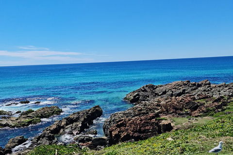 Private Custom Byron Bay Day Out - South Australia Travel 4