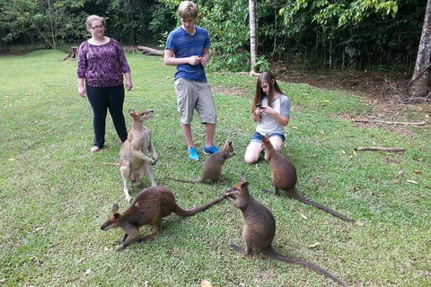 Small Group Blue Mountains Day Tour From Sydney - South Australia Travel 2