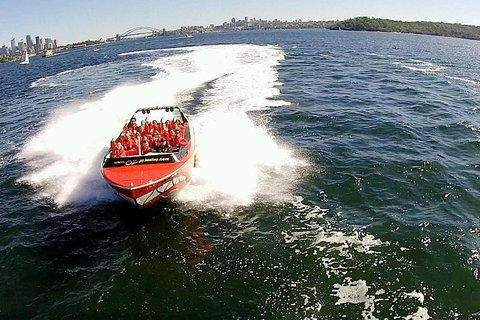 Sydney Harbour Jet Boat Thrill Ride: 30 Minutes - South Australia Travel 0