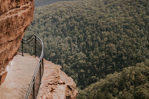 Private Blue Mountains And Wildlife Park Tour From Sydney With Barbecue Lunch - South Australia Travel 5