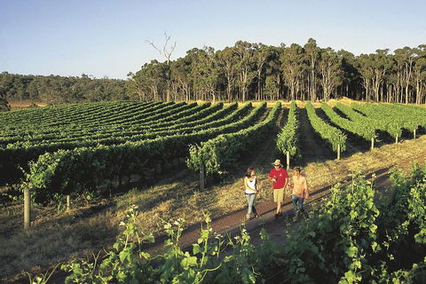 Margaret River, Caves, Wine And Cape Leeuwin Lighthouse Tour From Perth - South Australia Travel 1