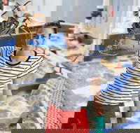 Pinnacles Desert Koalas and Sandboarding 4WD Day Tour from Perth - South Australia Travel