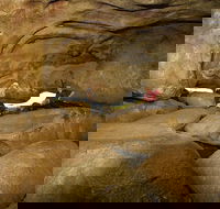 2-Day Wave Rock York Wildflowers  Aboriginal Experience - South Australia Travel