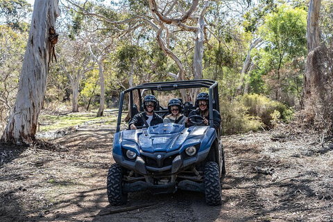 Small-Group Buggy Tour At Little Sahara With Guide - South Australia Travel 0