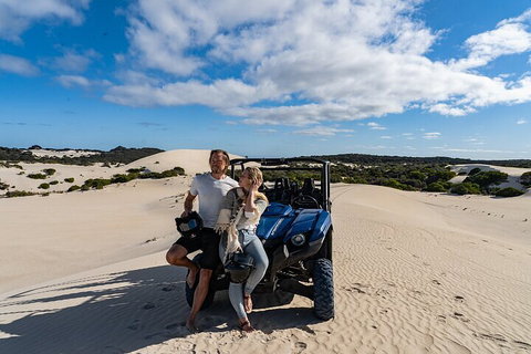 Small-Group Buggy Tour At Little Sahara With Guide - South Australia Travel 2