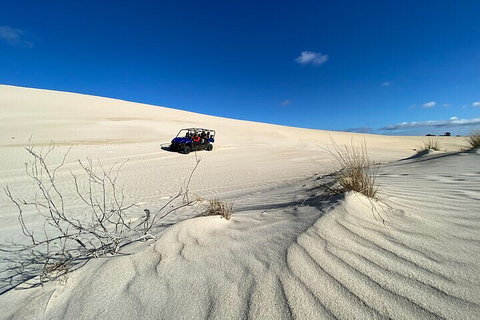 Small-Group Buggy Tour At Little Sahara With Guide - South Australia Travel 3