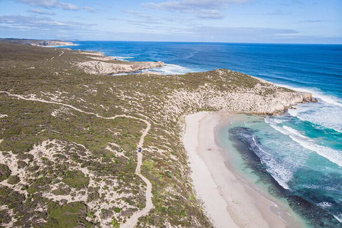 Small-Group Buggy Tour At Little Sahara With Guide - South Australia Travel 4