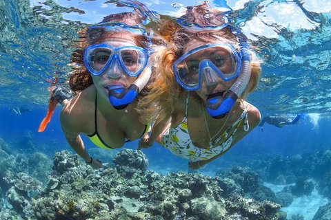 Great Barrier Reef Snorkeling And Diving Cruise From Cairns - South Australia Travel 3