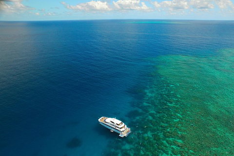 Great Barrier Reef Snorkeling And Diving Cruise From Cairns - South Australia Travel 4