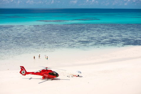 Private Helicopter Tour: Reef Island Snorkeling And Gourmet Picnic Lunch - South Australia Travel 2