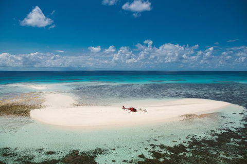 Private Helicopter Tour: Reef Island Snorkeling And Gourmet Picnic Lunch - South Australia Travel 4