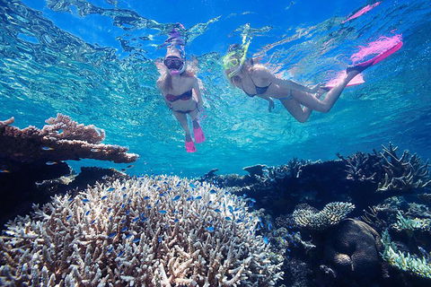 Great Barrier Reef Scenic Helicopter Tour And Cruise From Cairns - South Australia Travel 3