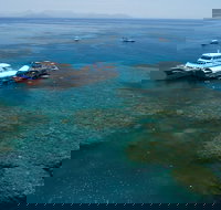 Cruise to Moore Reef Pontoon and Return Helicopter Flight from Cairns - South Australia Travel