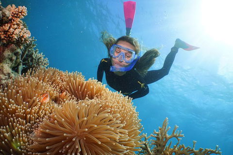 Helicopter And Cruise Packages From Port Douglas - South Australia Travel 3