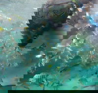 2-Day Moreton Island 4WD Camping Tour from Brisbane - South Australia Travel