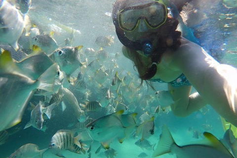 2-Day Moreton Island 4WD Camping Tour From Brisbane - South Australia Travel 0