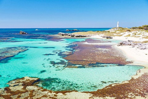 Rottnest Island All-Inclusive Grand Island Tour From Fremantle - South Australia Travel 1