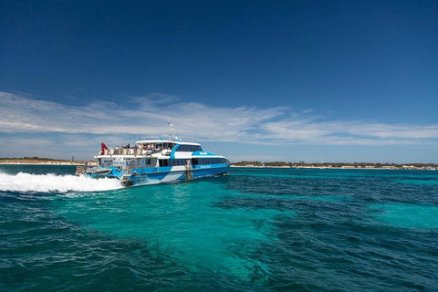 Rottnest Island All-Inclusive Grand Island Tour From Fremantle - South Australia Travel 3