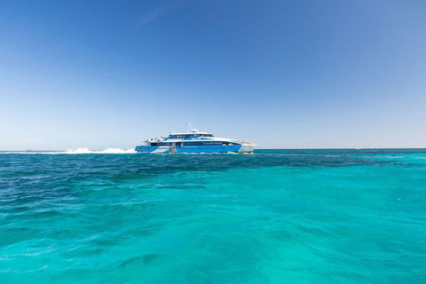 Rottnest Island Bayseeker Day Trip From Perth - South Australia Travel 0