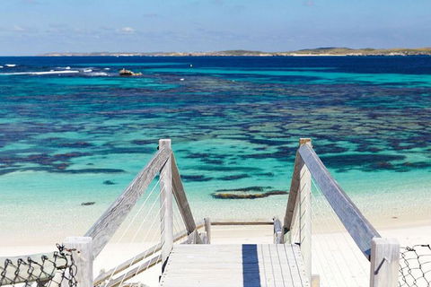 Rottnest Island Bayseeker Day Trip From Perth - South Australia Travel 3