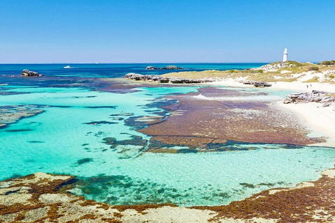 Rottnest Island Bayseeker Day Trip From Perth - South Australia Travel 4