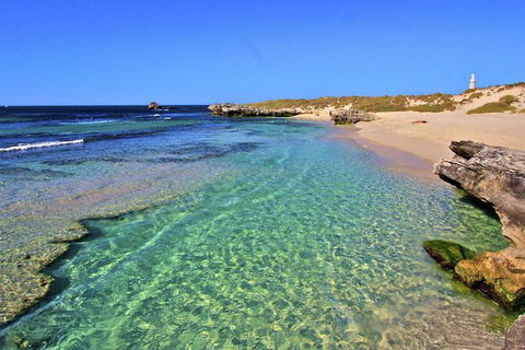 Rottnest Island Bayseeker Day Trip From Perth - South Australia Travel 5