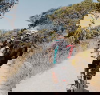 Self-Guided Point Nepean National Park Bike Hire - South Australia Travel