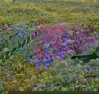 Litchfield Park  Daly River - Scenic Flight From Darwin - South Australia Travel