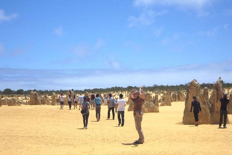 Pinnacles & Rottnest Island Scenic Air & Ground Tour - South Australia Travel 3