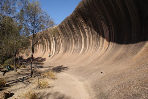Wave Rock And Pinnacles Air & Ground Tour - South Australia Travel 5